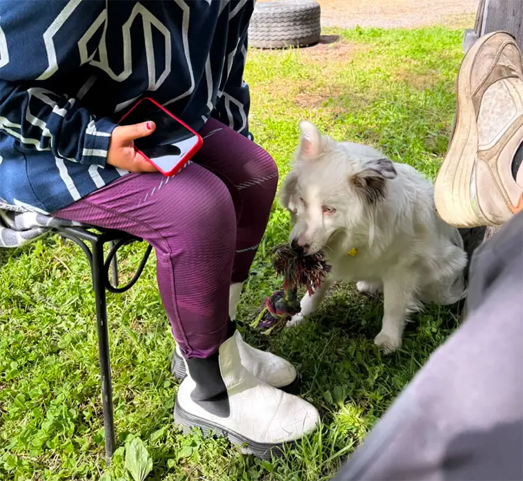 Många avrådde henne från att skaffa en döv hund – i dag hjälper Flingan människor varje dag
