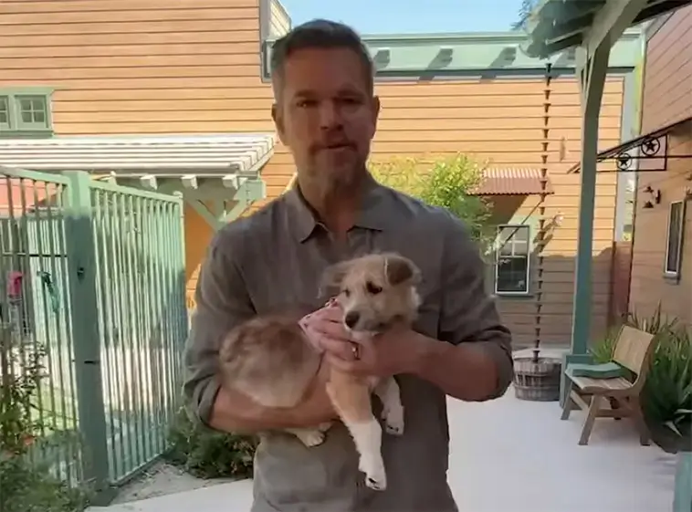 Matt Damon uppmärksammar hunden Betsy – har väntat nästan två år på ett hem