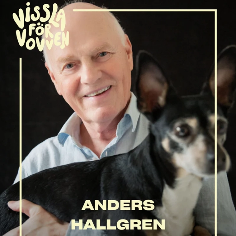 Här är de nominerade till Hundstallets pris – hyllas för sitt arbete för Sveriges hundar