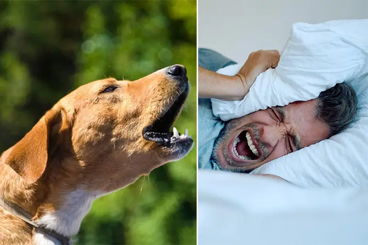 Prime Video inför reklam – betala extra för en annonsfri upplevelse