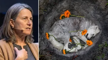 Veterinär avslöjar vad hundar tros tänka innan de dör