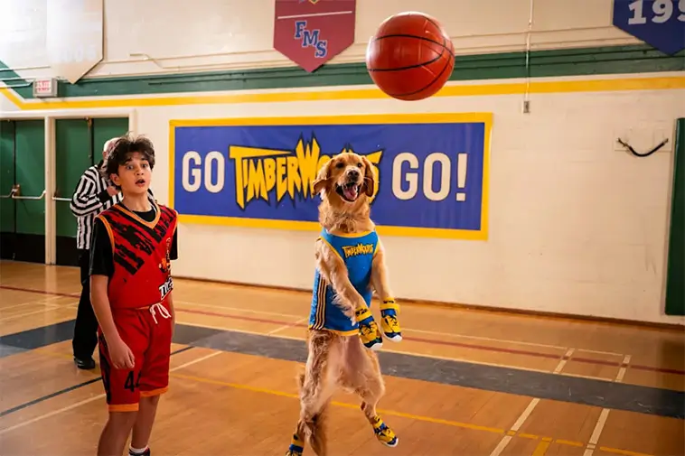 "Air Bud" gör comeback – första trailern till nya filmen är här