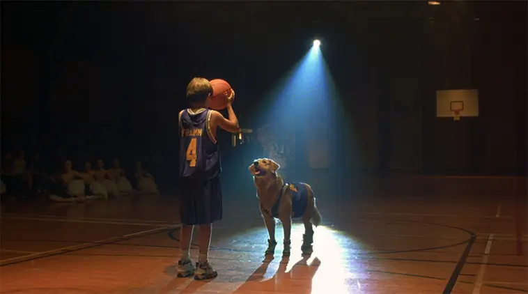 "Air Bud" gör comeback – första trailern till nya filmen är här