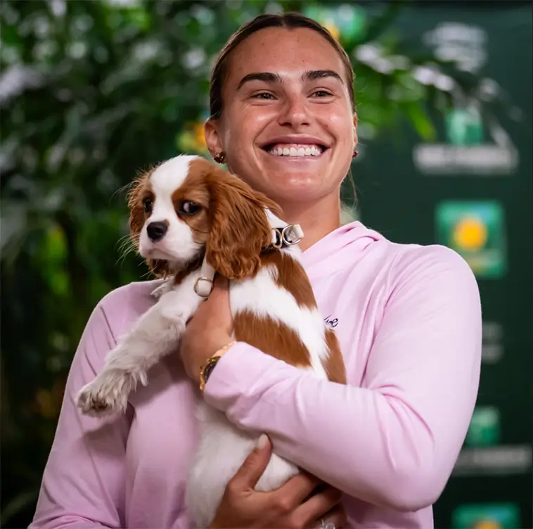 Världsettan vädjar: "Låt hundarna få komma in på Wimbledon"