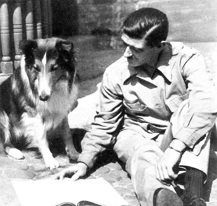 Lassie – hunden som blev världens största tv-ikon