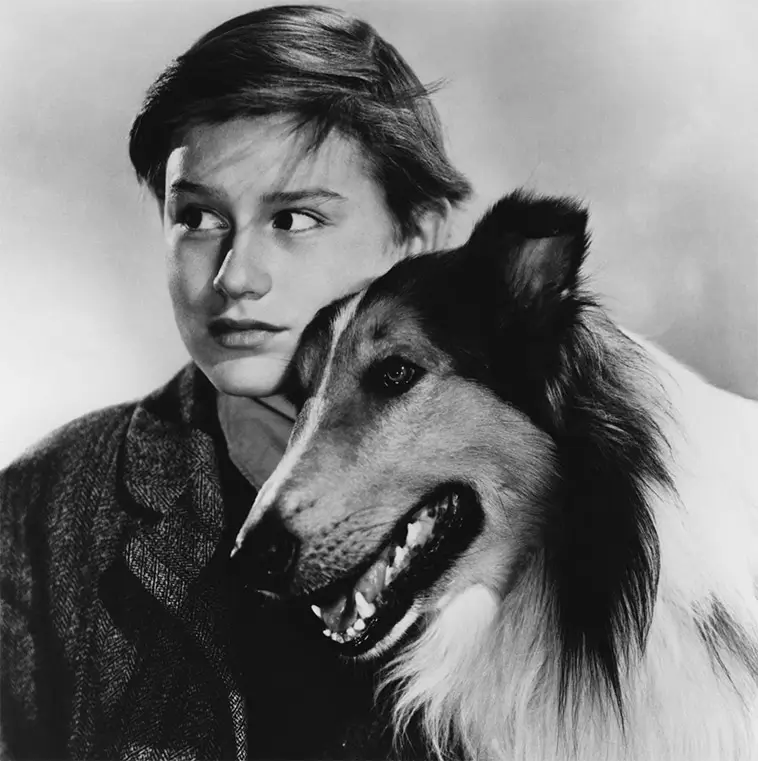 Lassie – hunden som blev världens största tv-ikon