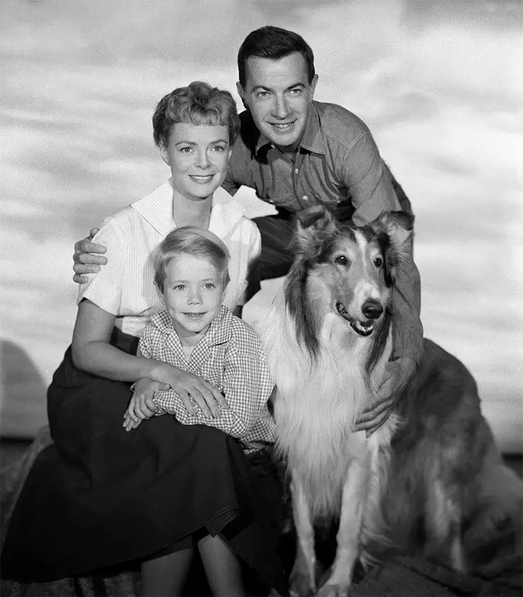 Lassie – hunden som blev världens största tv-ikon