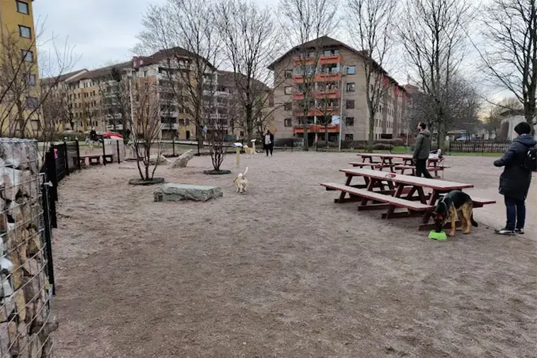 Hundrastgården Olskroksgatan