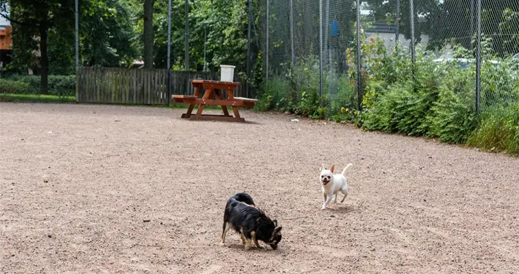 Hundrastgårdar i Göteborg: Hundrastgården Olskroksgatan