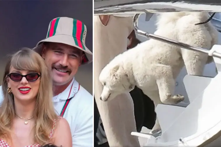 Taylor Swift och Travis Kelce uppges ha skaffat hund