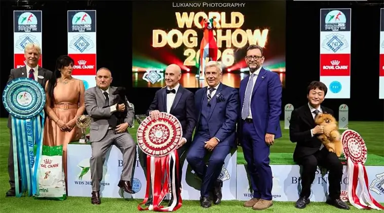 World Dog Show slog rekord – över 31 000 anmälningar