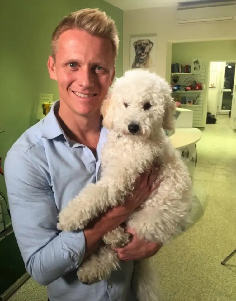 Veterinären tipsar: En enkel ingrediens kan få hunden att dricka mer i värmen