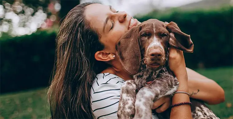 Fler väljer hund med hjärtat än med huvudet – ny undersökning väcker frågor