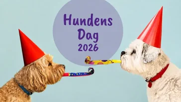 I dag firar vi Hundens dag – därför är den 26 augusti speciell