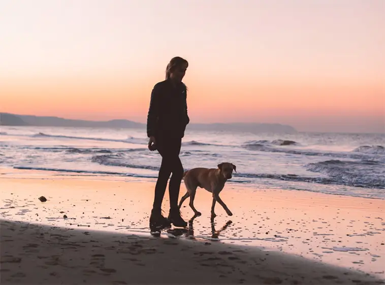 Här får hunden bada i Spanien – över 150 stränder