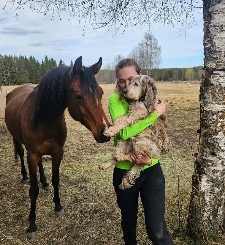 Månadens vovve: Sune – ID-hunden som hjälper djur hem