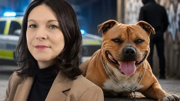 S vill förbjuda gängkriminella från att äga hund