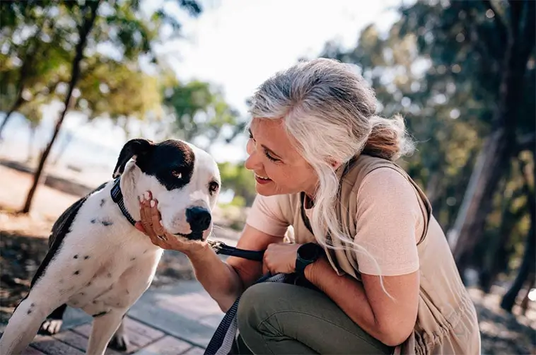 Studie: Så påverkas hunden när du försöker lugna den