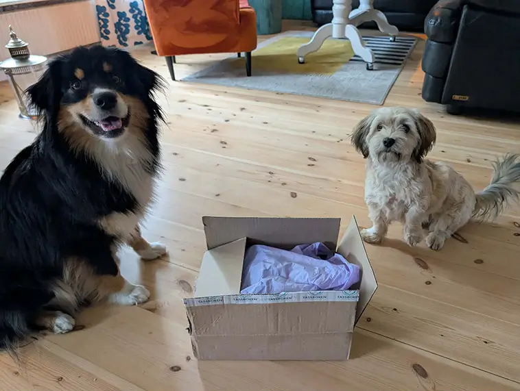 Greta och Zelda testar Tassboxen – en klar favorit