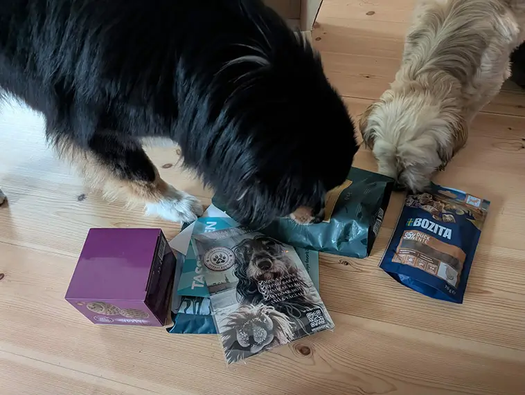 Greta och Zelda testar Tassboxen – en klar favorit