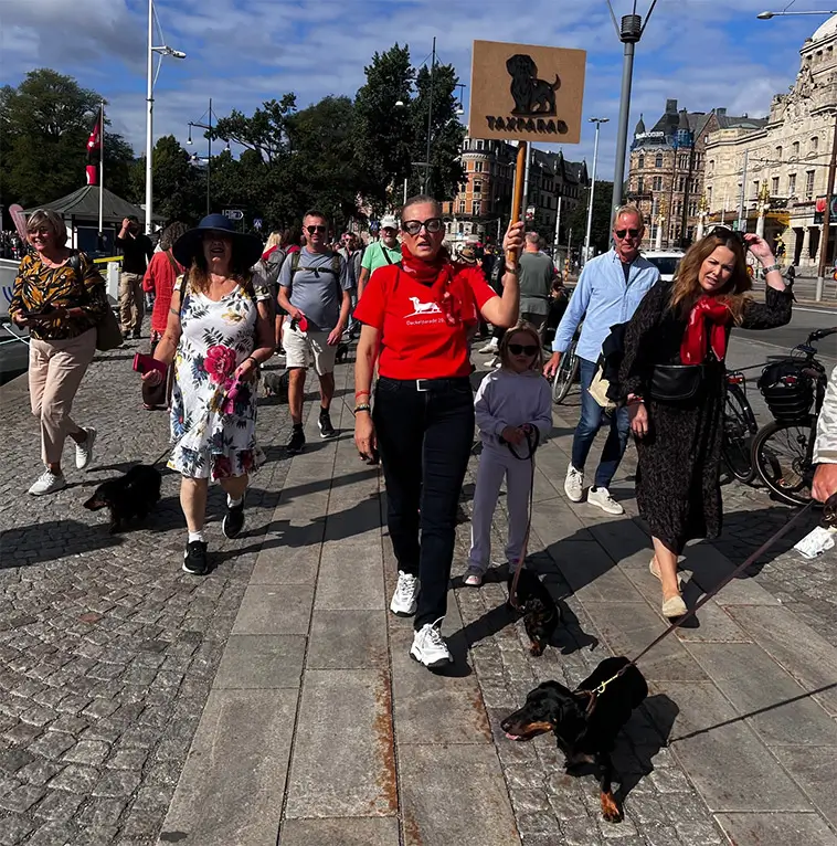 Rekordmånga Taxar väntas till Stockholm – kan bli 1 400