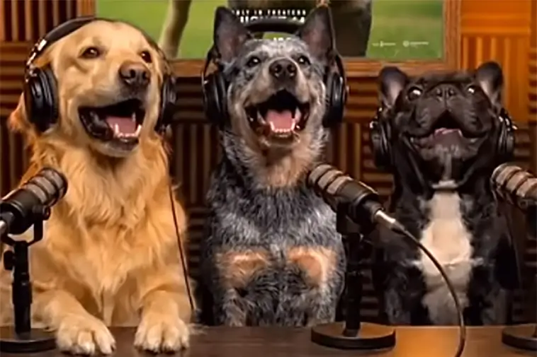 Warner Bros AI-hund väcker ilska inför filmpremiär
