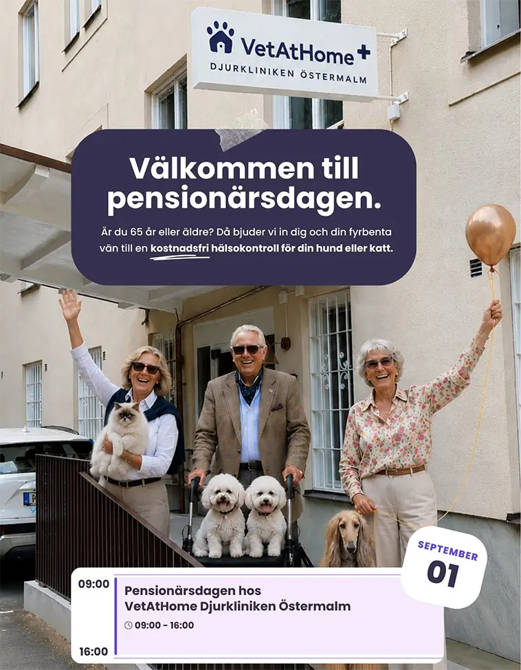 Här får pensionärer gratis hälsokontroll för hunden