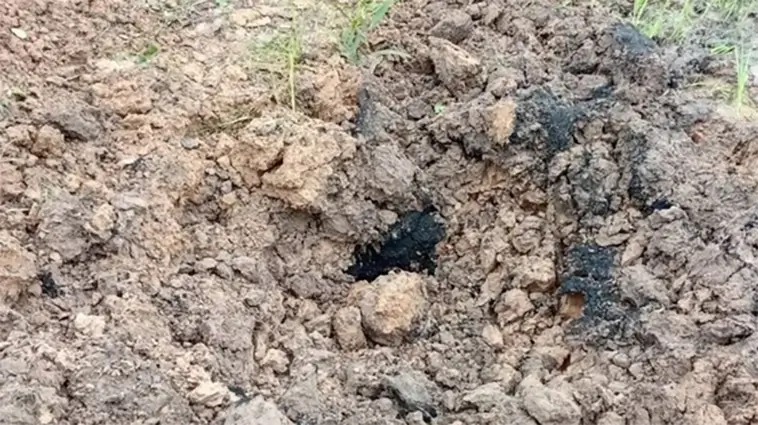 Hunden kom hem med märkligt fynd – då spärrades området av