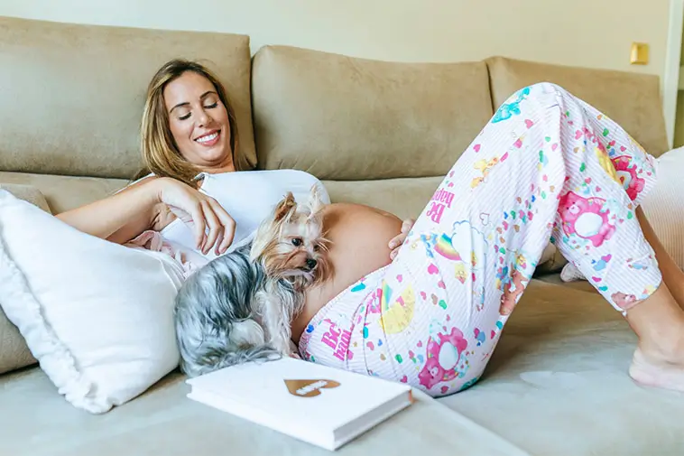 Hunden kan märka graviditeten innan du själv gör det