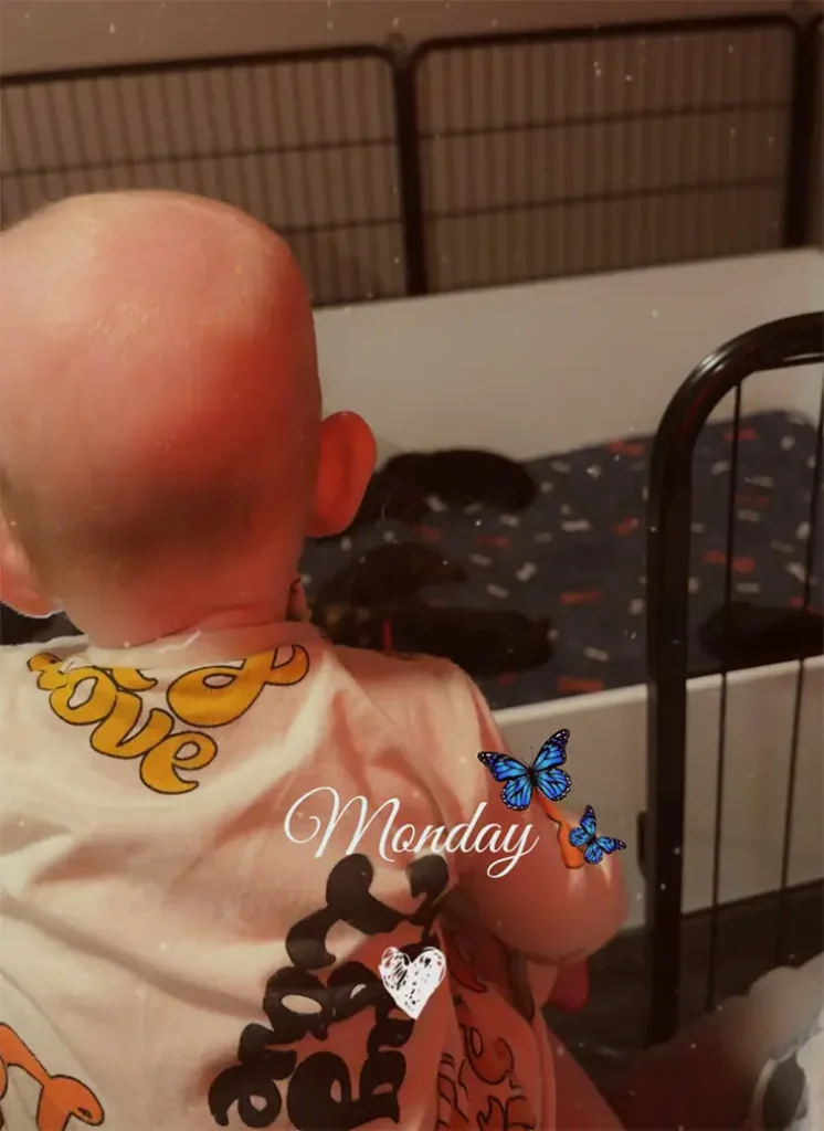 Två mammor och åtta små – här delar de bebisbubblan