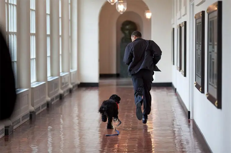 Barack Obamas hund Sunny har dött – blev 13 år