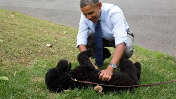 Barack Obamas hund Sunny har dött – blev 13 år
