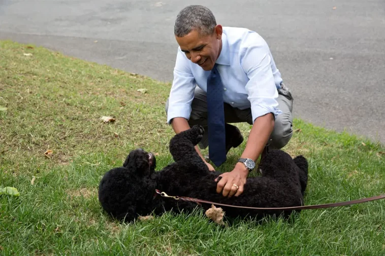 Barack Obamas hund Sunny har dött – blev 13 år