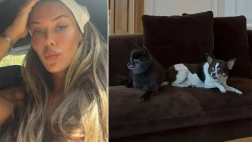 Bianca Ingrossos pinsamma hundmiss – grannen reagerade