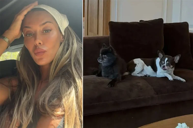 Bianca Ingrossos pinsamma hundmiss – grannen reagerade