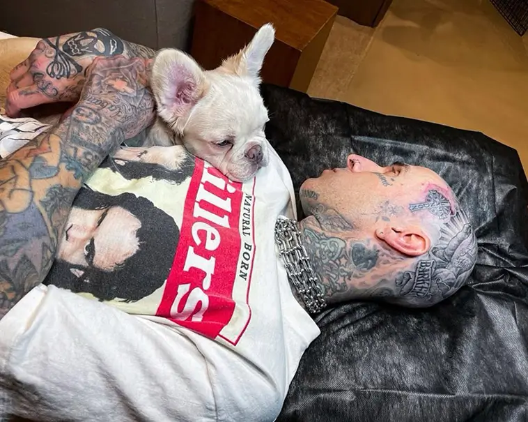 Blink-182-stjärnan: Adoptera hundar från djurhem