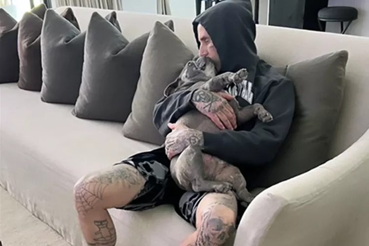 Blink-182-stjärnan: Adoptera hundar från djurhem
