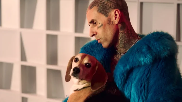 Blink-182-stjärnan: Adoptera hundar från djurhem