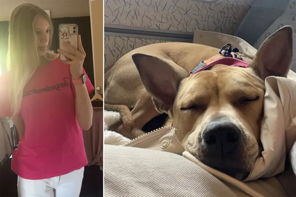 Hunden Cleo blev akut sjuk efter tuggben från Gekås