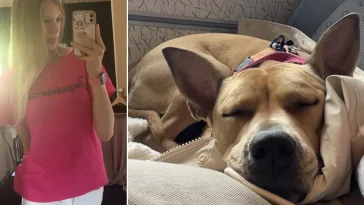Hunden Cleo blev akut sjuk efter tuggben från Gekås