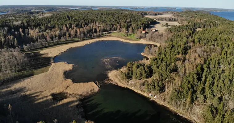 Dagsutflykt med hund i Stockholm – 10 platser att besöka