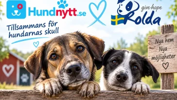 Hundnytt inleder samarbete med ROLDA Sverige