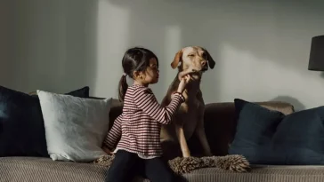 Hundstallet lär barn att förstå hundens signaler