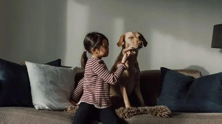 Hundstallet lär barn att förstå hundens signaler