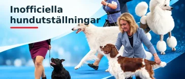 Slipp leta – Hundnytt samlar alla inofficiella hundutställningar 2026