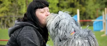 Kim Salomonsson föder upp en av Nordens ovanligaste hundraser