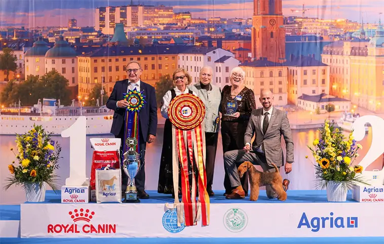 Lakelandterriern Nordlicht bäst av 8 831 hundar – vann Best In Show