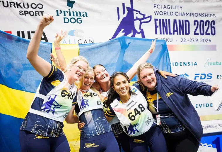 Svenskt VM-guld i agility – fyra ekipage bakom segern