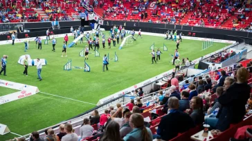 Svenskt VM-guld i agility – fyra ekipage bakom segern