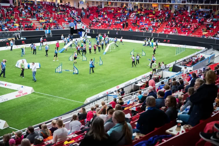 Svenskt VM-guld i agility – fyra ekipage bakom segern
